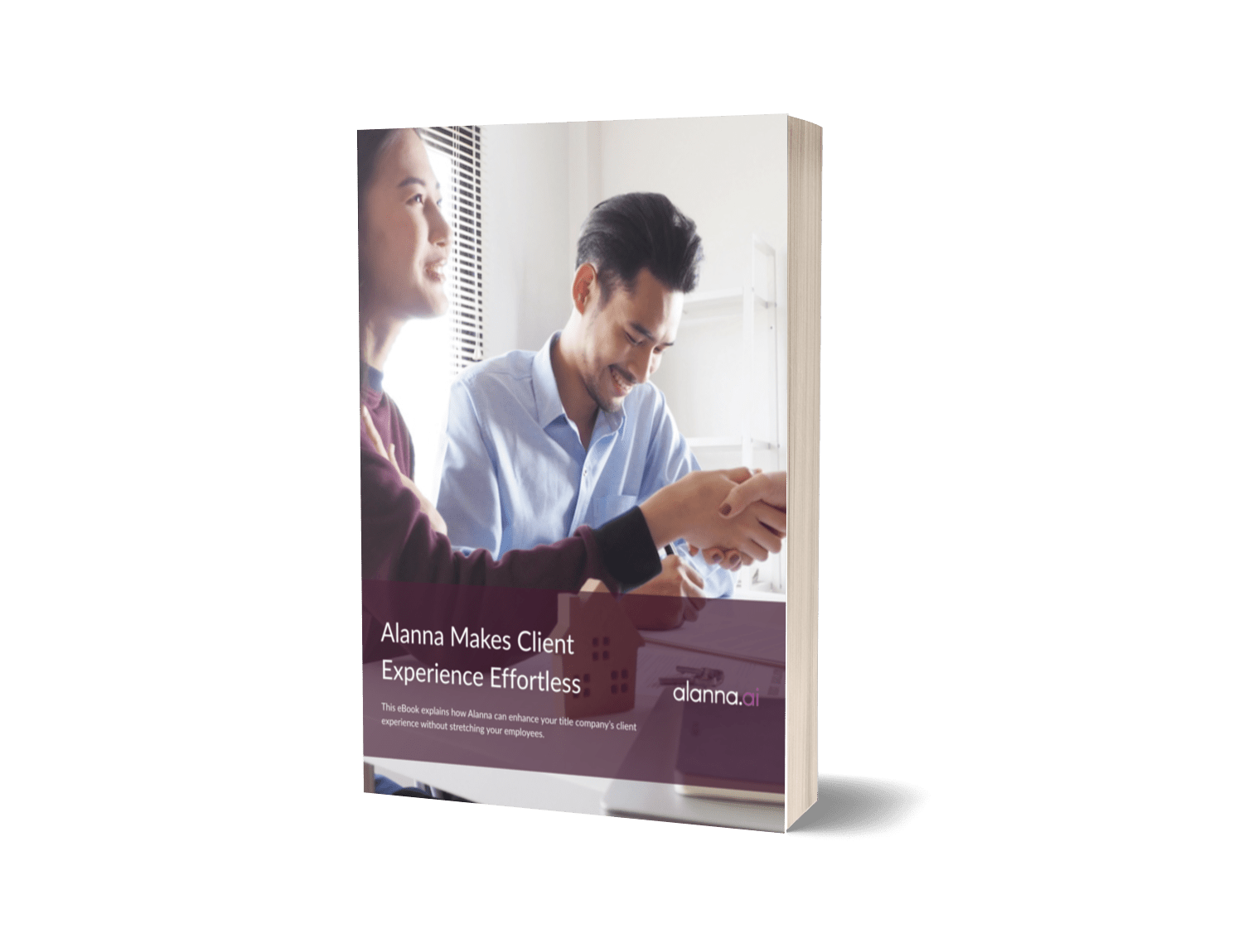 alanna - ebook cover client experience effortless